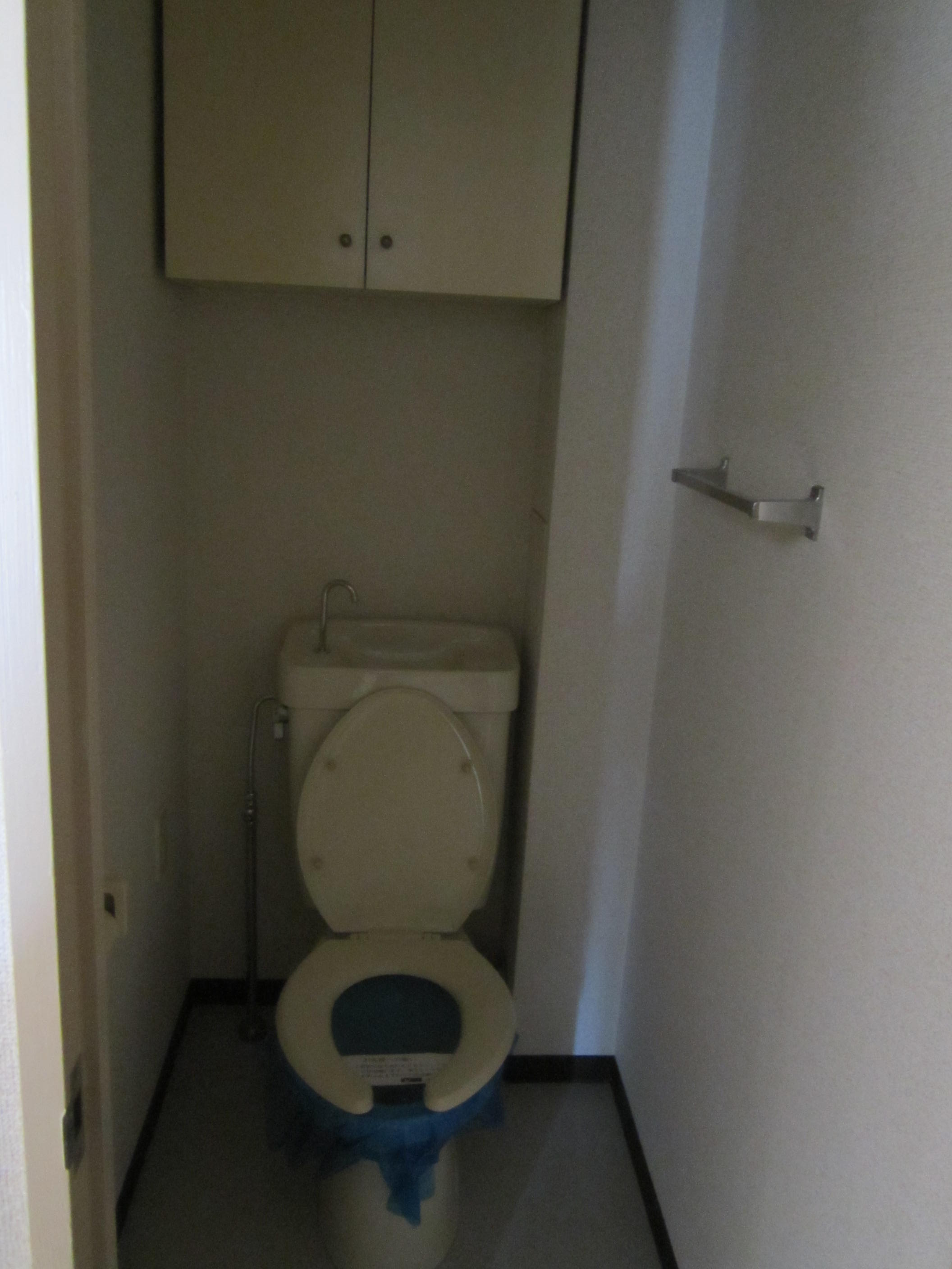 Toilet. With shelf storage