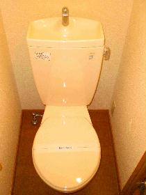 Toilet. It comes with a top storage rack