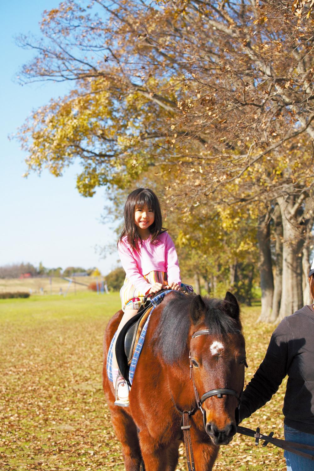 Other.  [Kokai River pony ranch] Ranch horse riding, such as pony on the coast of the Kokai River can enjoy. It is opened, 2001. It is doing a school outside of education that uses a pony during the long vacation period. 