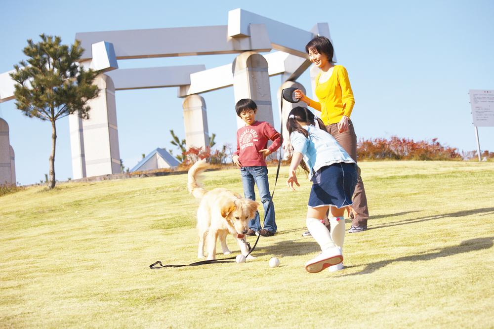 Other.  [Fujishiro Sports Center] Picnic plaza has become a small hill covered the entire surface turf, Popular as a place to enjoy a walk, etc. in the family. Facilities that are managed, gymnasium, baseball Ground, Multi-purpose ground, There are tennis courts. 