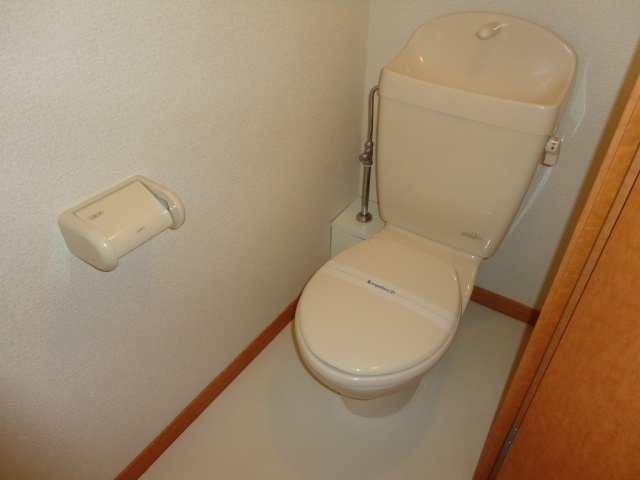 Toilet. Spacious space