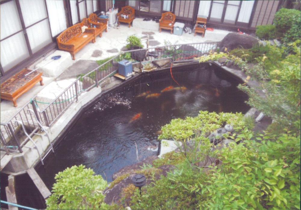 Garden. There are equipped with thorough pond who want to buy a carp