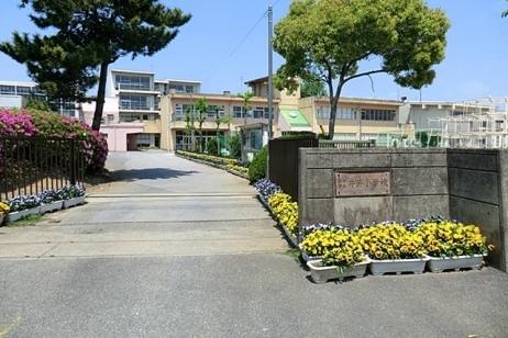 Primary school. 800m to handle Municipal Ino Elementary School