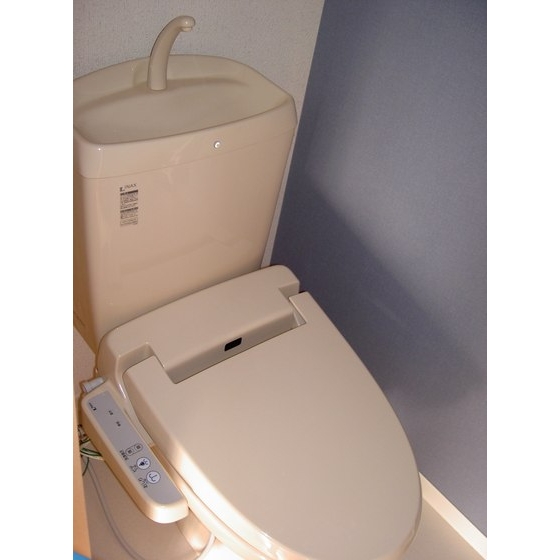 Toilet. Toilet