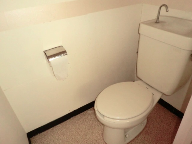 Toilet