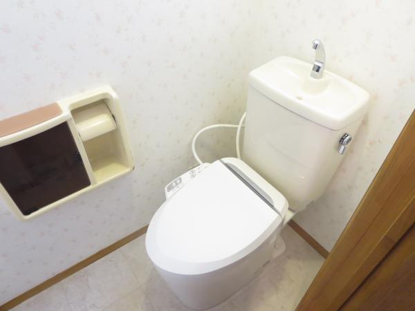 Toilet. It was the first floor toilet exchange.