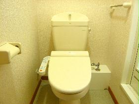 Toilet. Comfortable with warm water washing toilet seat to the toilet