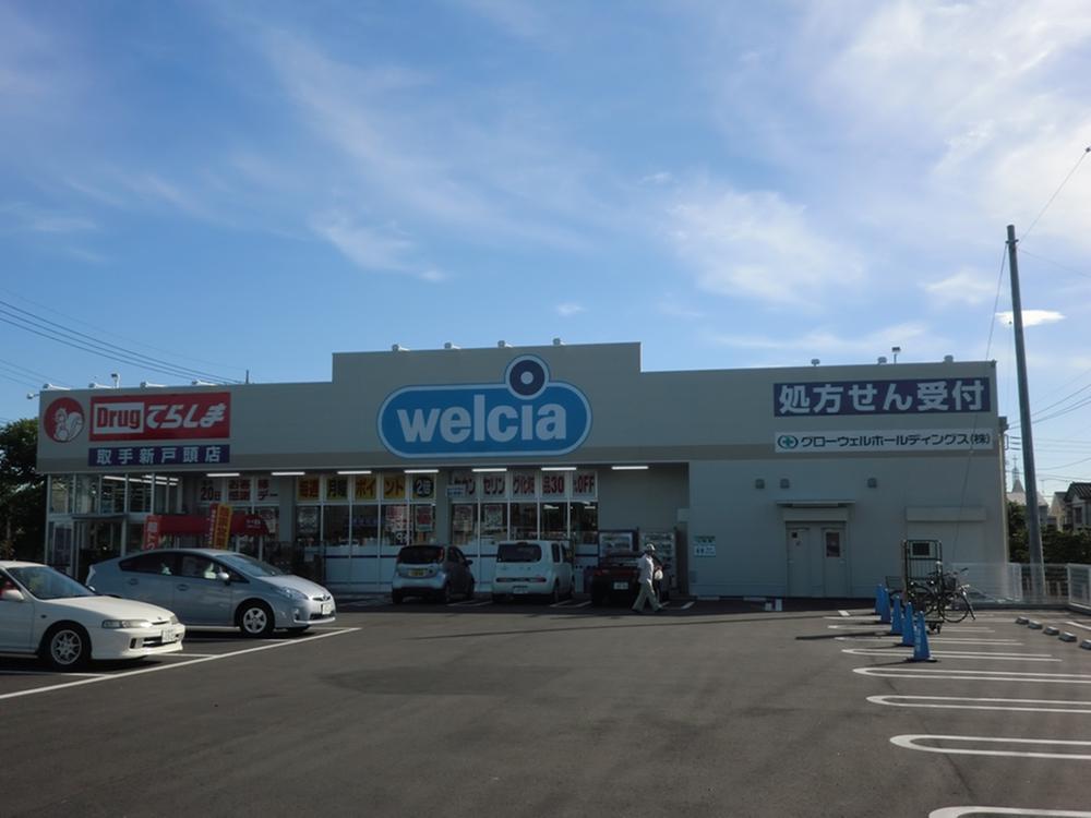 Drug store. Drag Terashima 917m to handle Togashira shop