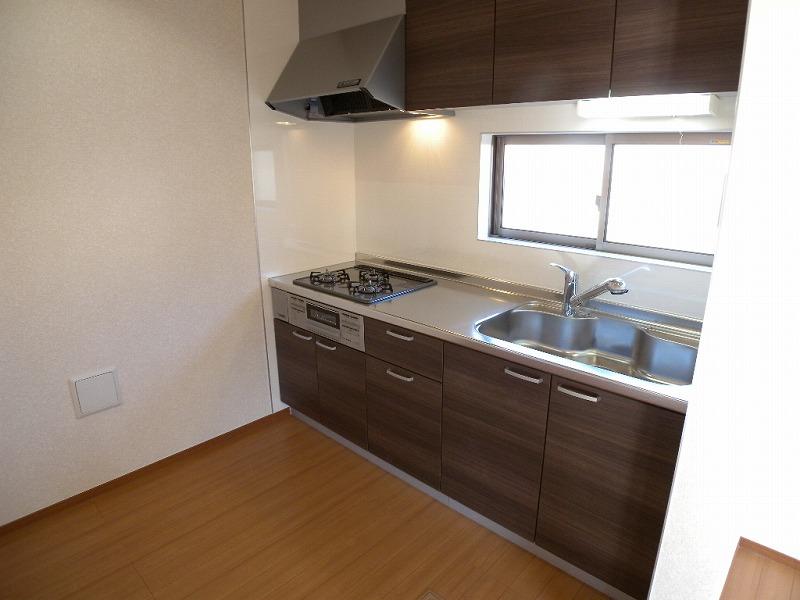 Kitchen. Indoor (10 May 2013) Shooting