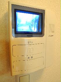 Other. It is a monitor with intercom of peace of mind! 
