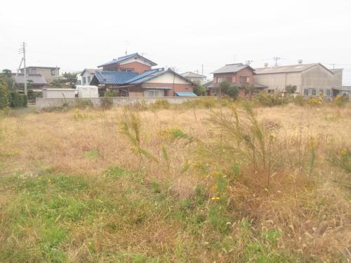 Local land photo