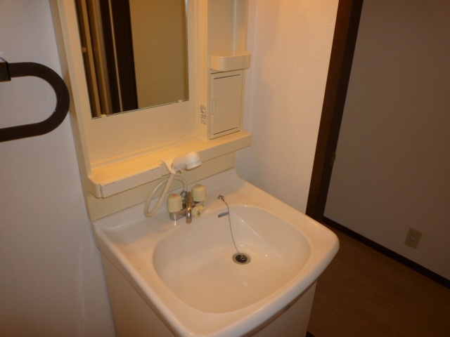 Washroom. Bathroom Vanity