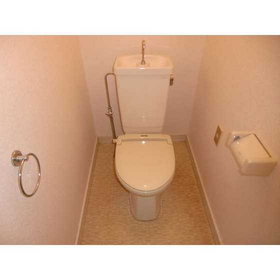 Other. Toilet