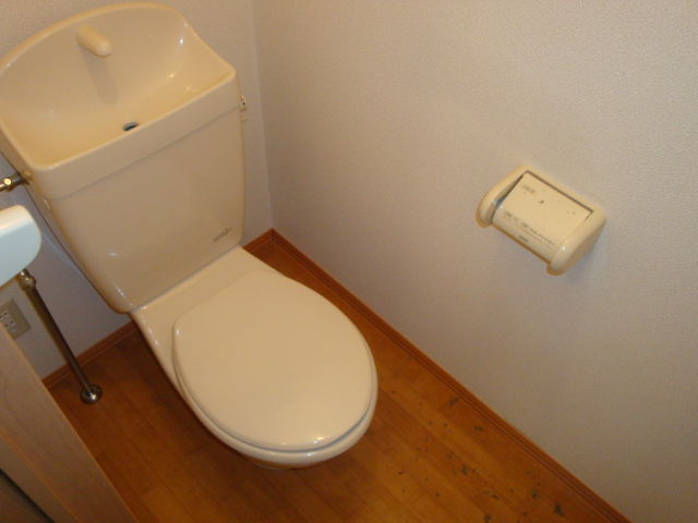 Toilet. Western-style toilet