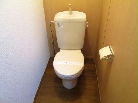 Toilet. We offer a clean toilet