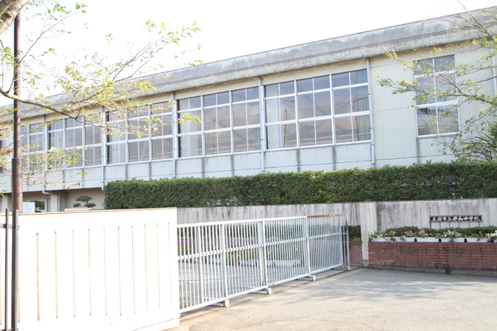 Junior high school. 1570m until Tsuchiura City Tsuwa junior high school (junior high school)