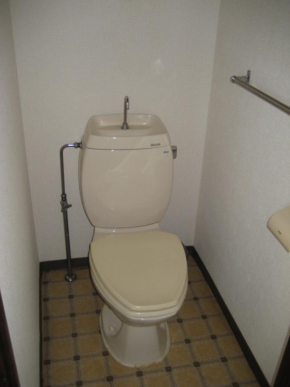 Toilet. Toilet with cleanliness