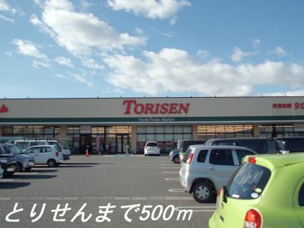 Shopping centre. Torisen until the (shopping center) 500m