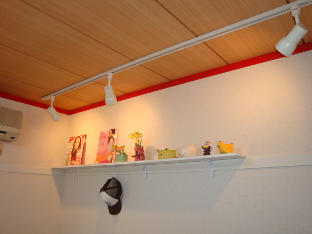 Other Equipment. Director of indirect lighting. With storage shelf.