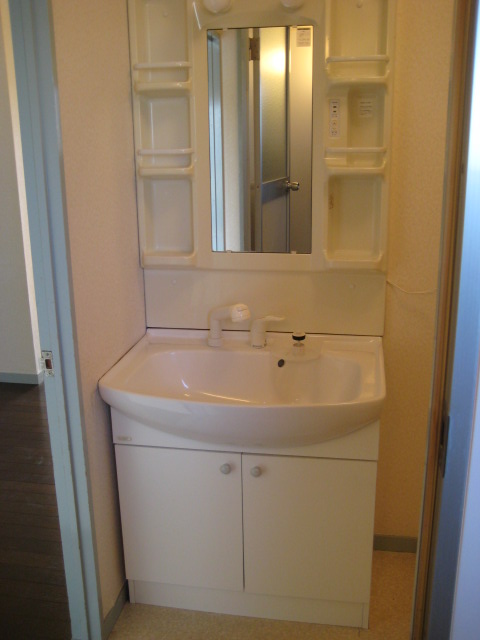 Washroom. Shampoo dresser