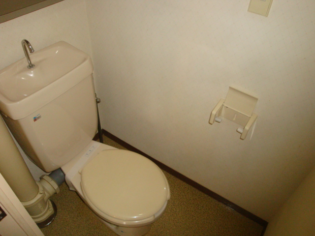 Toilet. Western-style toilet