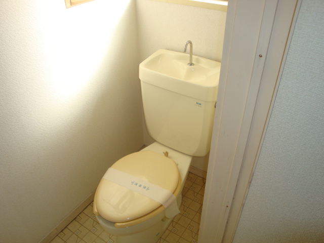 Toilet. Western-style toilet r