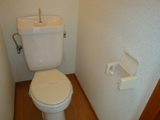 Toilet. Western style