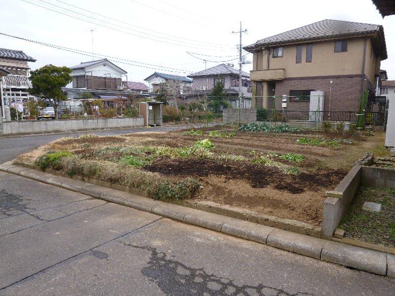 Local land photo