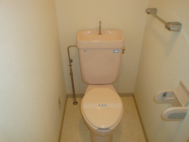 Toilet. Western-style toilet