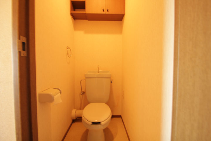 Toilet. Western-style toilet