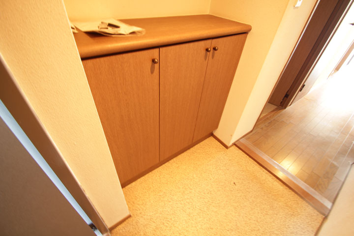 Entrance. Shoebox