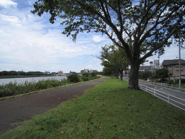 Other Environmental Photo. Until Kasumigaura 200m