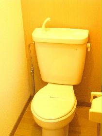 Toilet. We offer a clean toilet