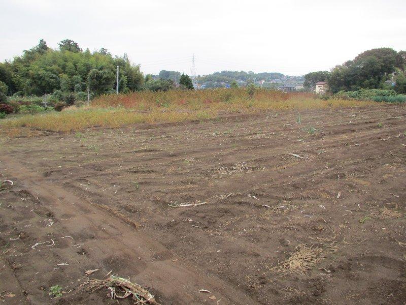 Local land photo