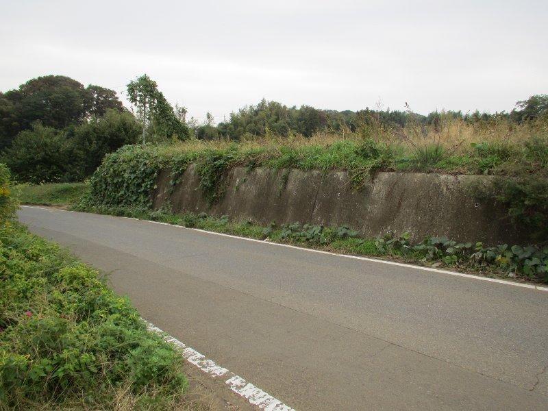 Local photos, including front road