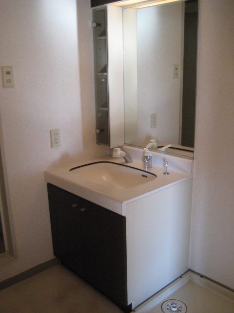 Washroom. With vanity shower