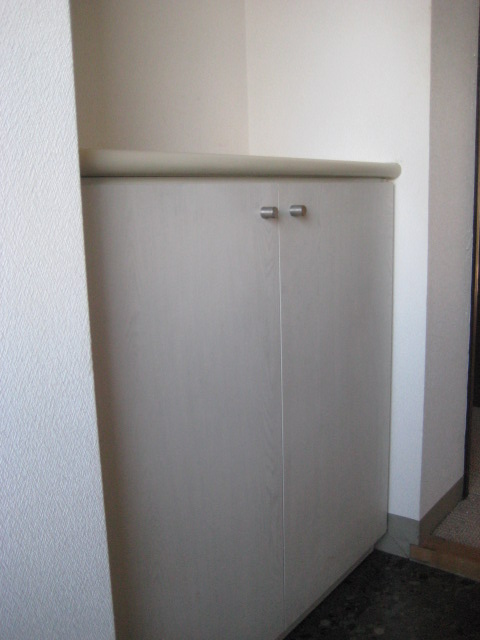 Entrance. Cupboard
