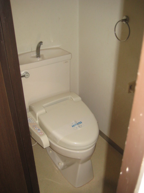 Toilet. Bathroom with a shower (which is left behind)