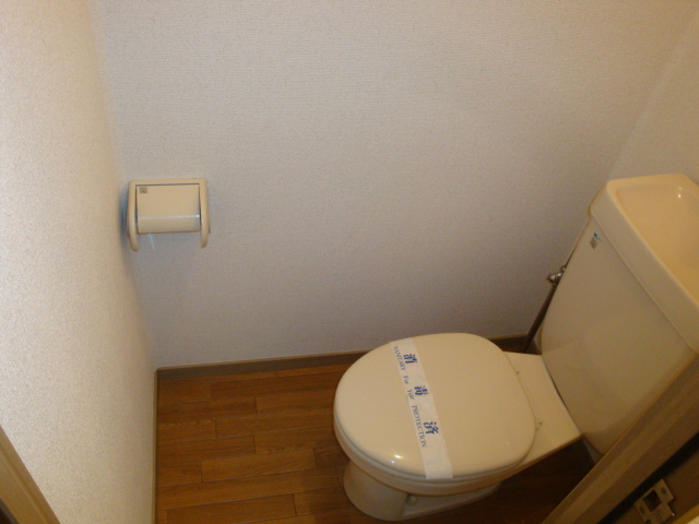 Toilet. Western-style toilet
