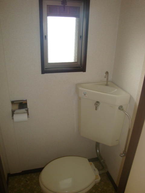 Toilet. Western-style toilet