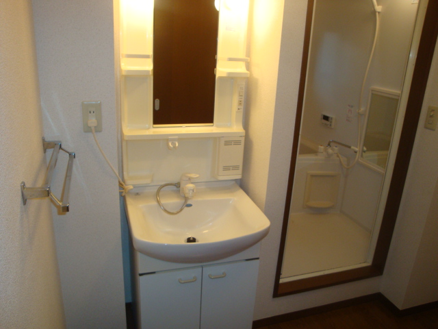 Washroom. Shampoo dresser