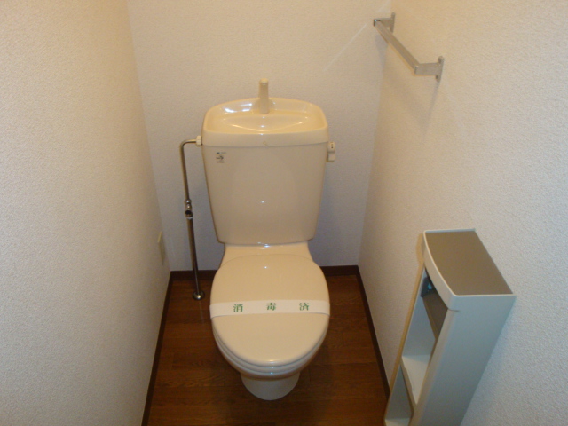 Toilet. Western-style toilet