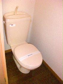 Toilet. We offer a clean toilet
