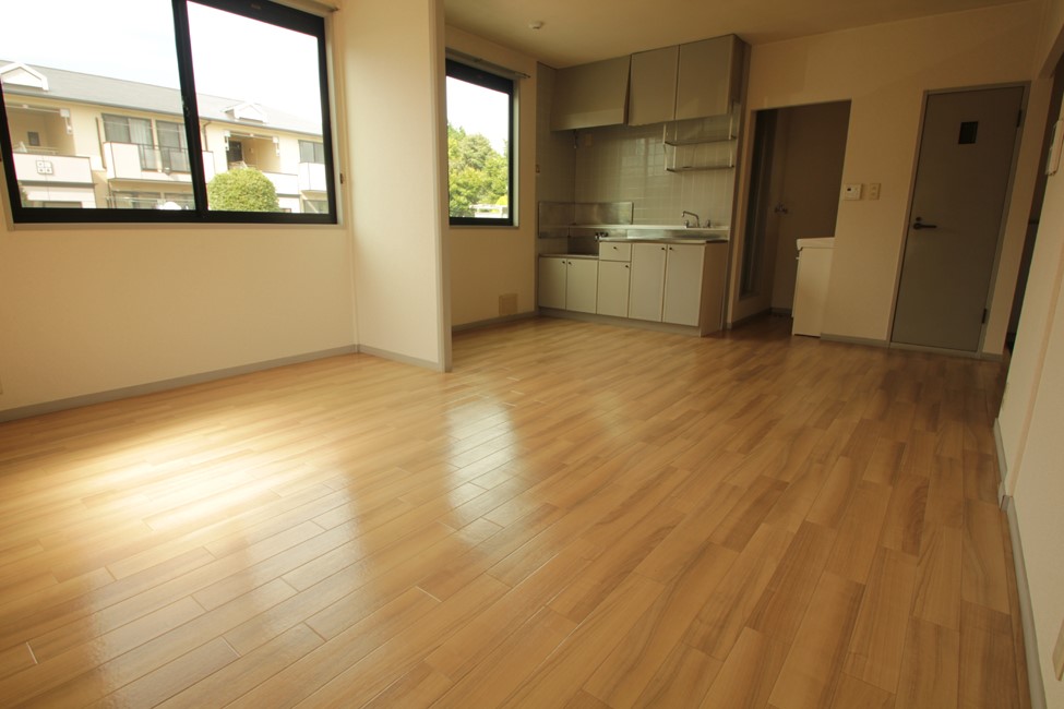 Living and room. Spacious LDK !!