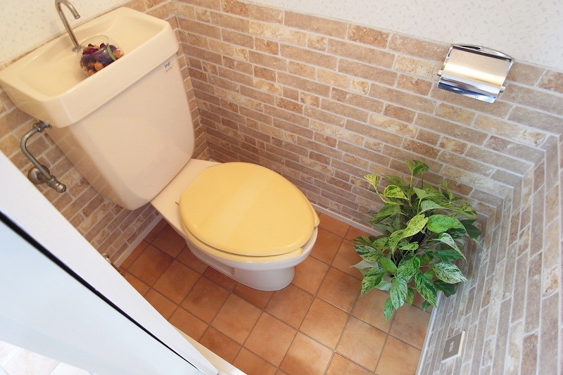 Toilet