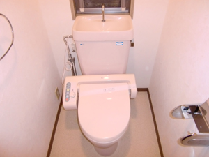 Toilet. Washlet equipped. 