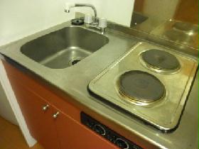 Kitchen. Caring simple electric stove