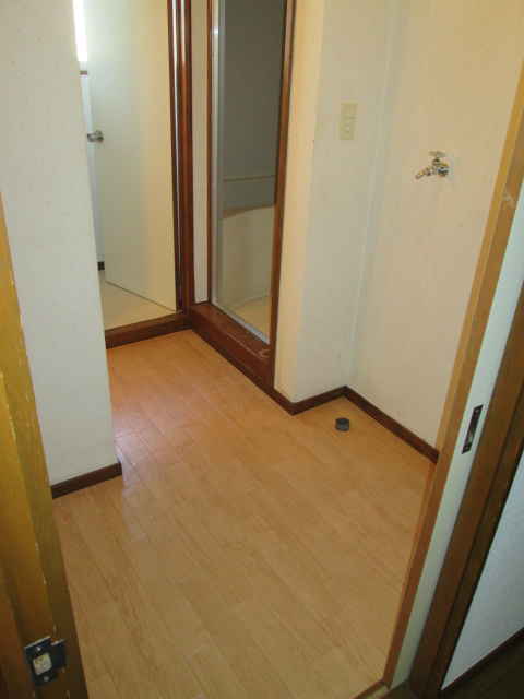 Other room space. Dressing room
