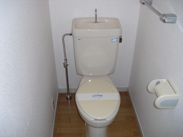 Toilet. Western-style toilet