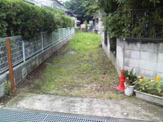 Local land photo